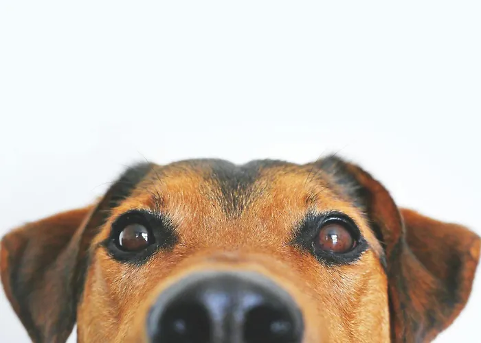 Hotell Garner - Checkpoint Charlie By Ihg 4*